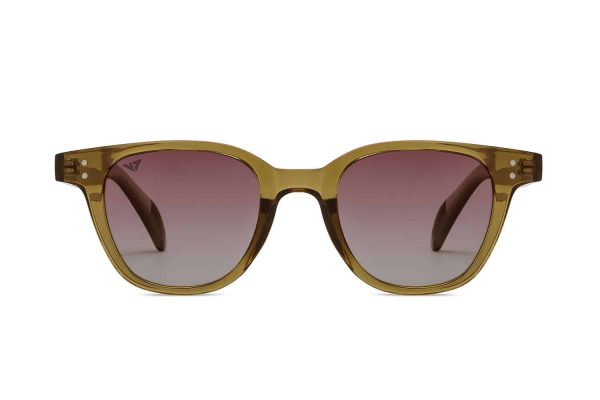 Brown Transparent Full Rim Wayfarer Sunglasses